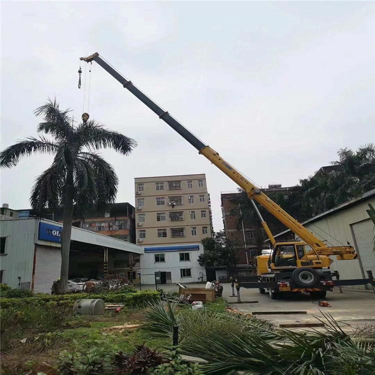 汝南汽车吊出租多少钱？全面解析与市场行情